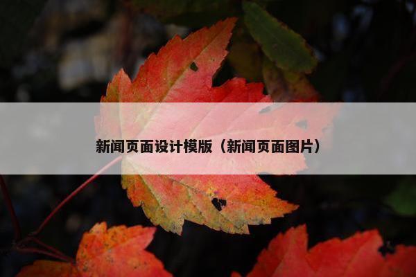新闻页面设计模版（新闻页面图片）