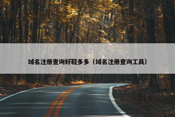 域名注册查询好鞋多多（域名注册查询工具）