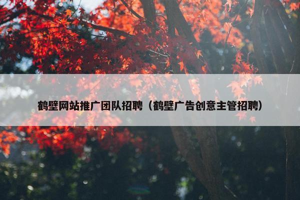 鹤壁网站推广团队招聘（鹤壁广告创意主管招聘）