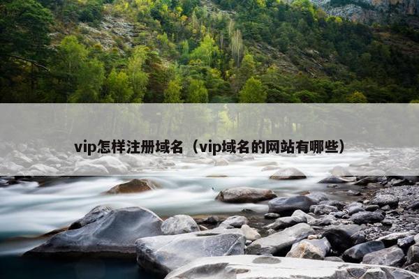 vip怎样注册域名（vip域名的网站有哪些）