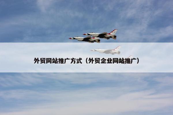 外贸网站推广方式（外贸企业网站推广）