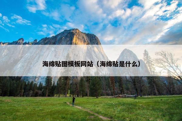 海绵贴图模板网站（海绵贴是什么）