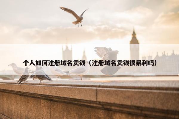 个人如何注册域名卖钱（注册域名卖钱很暴利吗）