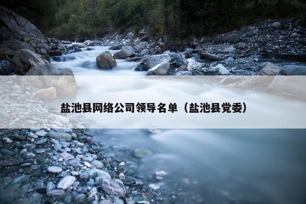 盐池县网络公司领导名单（盐池县党委）