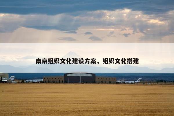 南京组织文化建设方案，组织文化搭建