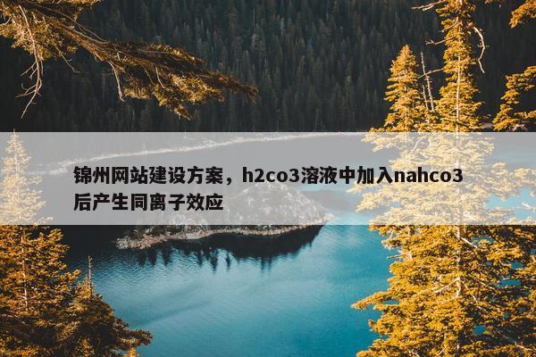 锦州网站建设方案，h2co3溶液中加入nahco3后产生同离子效应