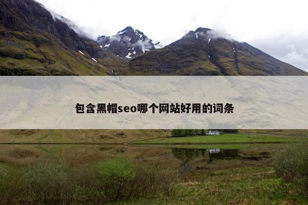 包含黑帽seo哪个网站好用的词条