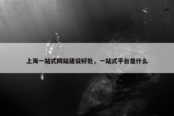 上海一站式网站建设好处，一站式平台是什么