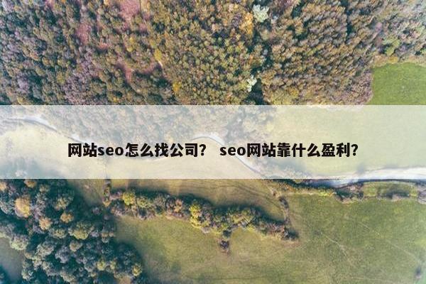 网站seo怎么找公司？ seo网站靠什么盈利？