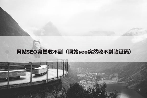 网站SEO突然收不到（网站seo突然收不到验证码）