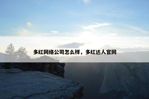 多红网络公司怎么样，多红达人官网