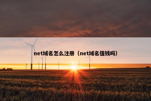 net域名怎么注册（net域名值钱吗）