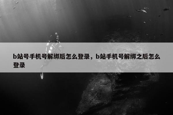 b站号手机号解绑后怎么登录，b站手机号解绑之后怎么登录