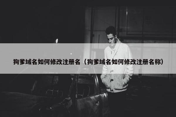 狗爹域名如何修改注册名（狗爹域名如何修改注册名称）