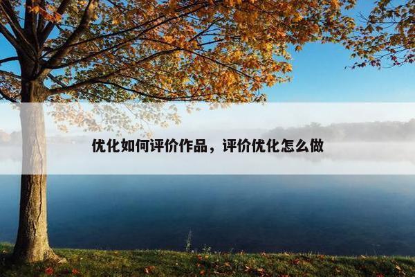 优化如何评价作品，评价优化怎么做
