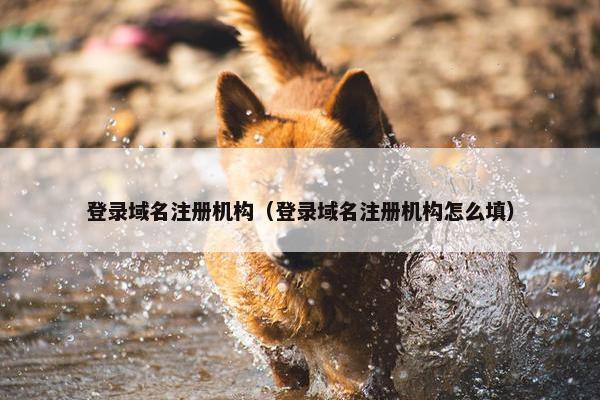 登录域名注册机构（登录域名注册机构怎么填）