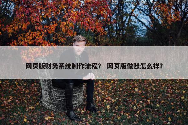 网页版财务系统制作流程？ 网页版做账怎么样？