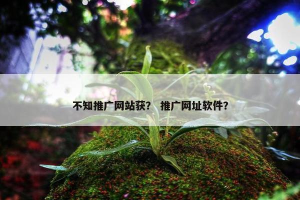 不知推广网站获？ 推广网址软件？