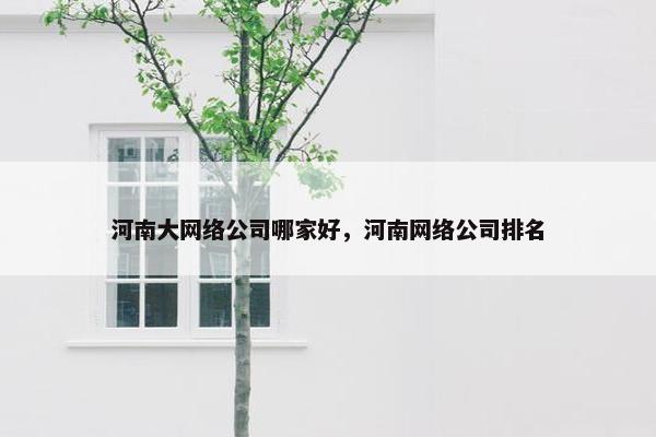 河南大网络公司哪家好，河南网络公司排名