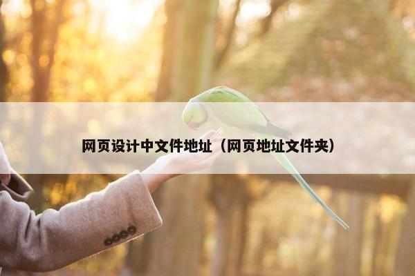网页设计中文件地址（网页地址文件夹）