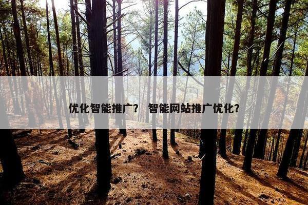 优化智能推广？ 智能网站推广优化？