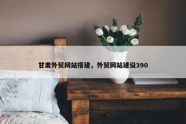 甘肃外贸网站搭建，外贸网站建设390