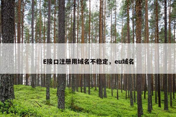E接口注册用域名不稳定，eu域名