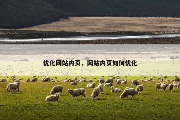 优化网站内页，网站内页如何优化