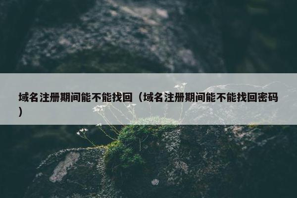 域名注册期间能不能找回（域名注册期间能不能找回密码）