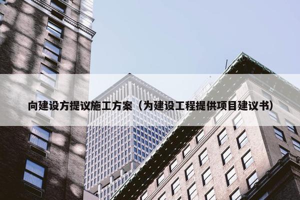 向建设方提议施工方案（为建设工程提供项目建议书）