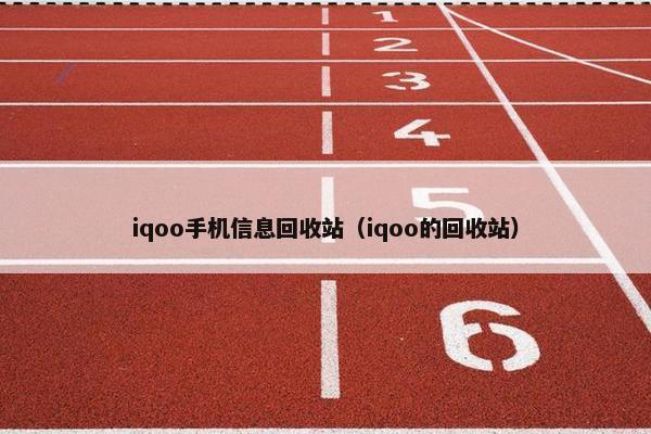 iqoo手机信息回收站（iqoo的回收站）