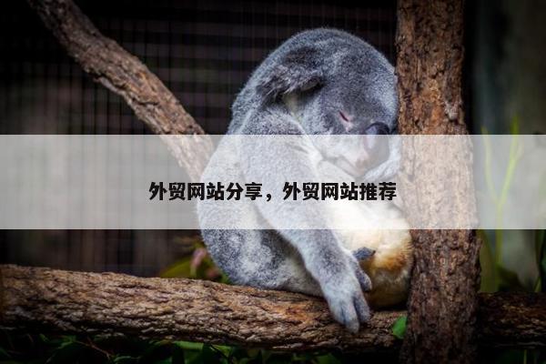 外贸网站分享，外贸网站推荐