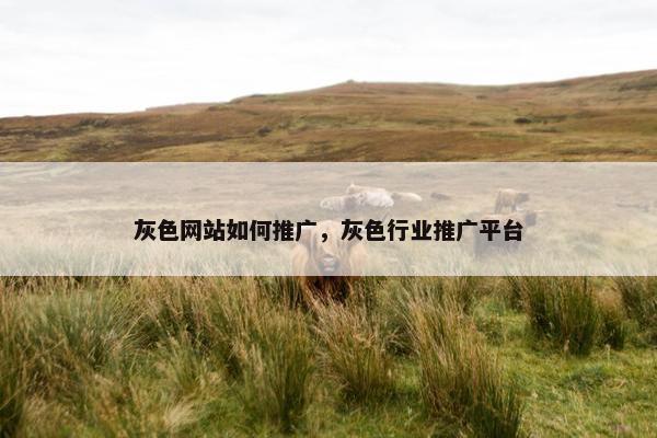 灰色网站如何推广，灰色行业推广平台
