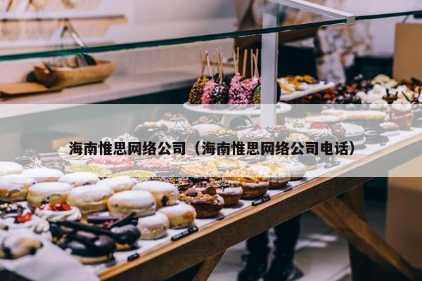 海南惟思网络公司（海南惟思网络公司电话）