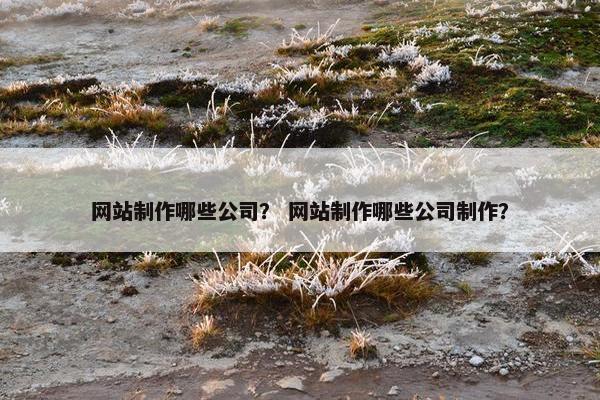 网站制作哪些公司？ 网站制作哪些公司制作？