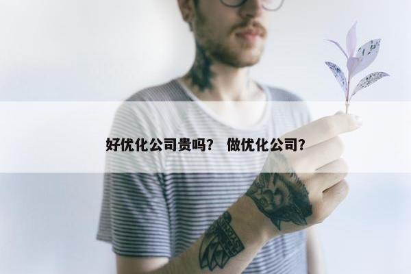 好优化公司贵吗？ 做优化公司？