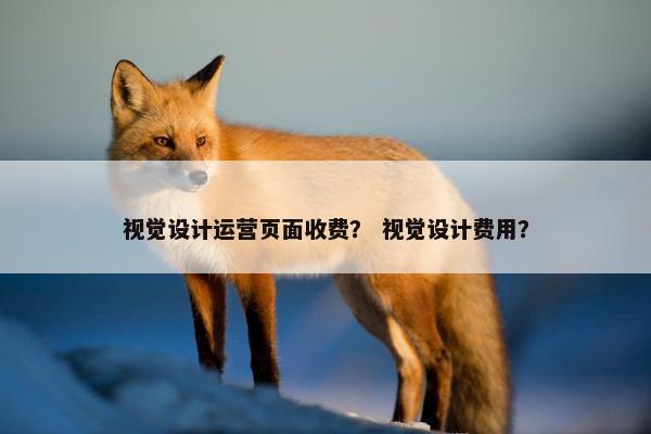 视觉设计运营页面收费？ 视觉设计费用？
