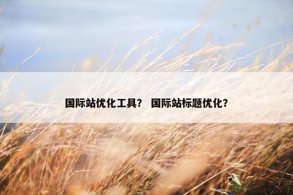 国际站优化工具？ 国际站标题优化？