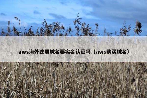 aws海外注册域名要实名认证吗（aws购买域名）