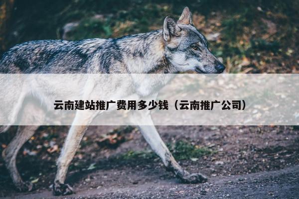 云南建站推广费用多少钱（云南推广公司）