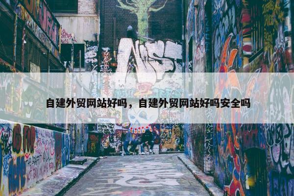 自建外贸网站好吗，自建外贸网站好吗安全吗