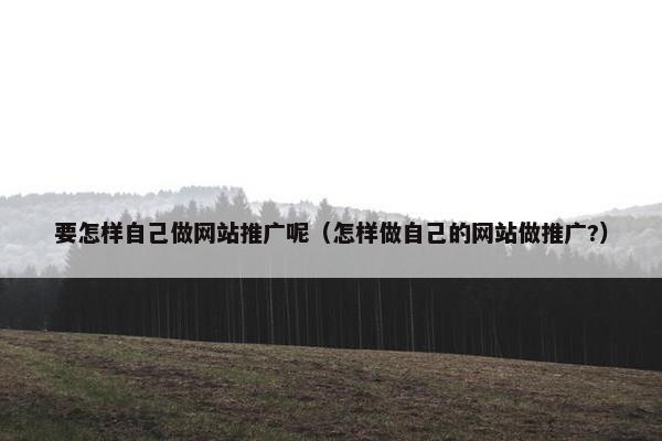 要怎样自己做网站推广呢（怎样做自己的网站做推广?）