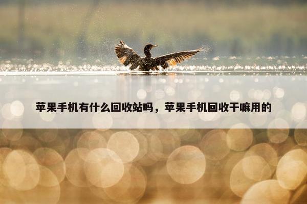 苹果手机有什么回收站吗，苹果手机回收干嘛用的