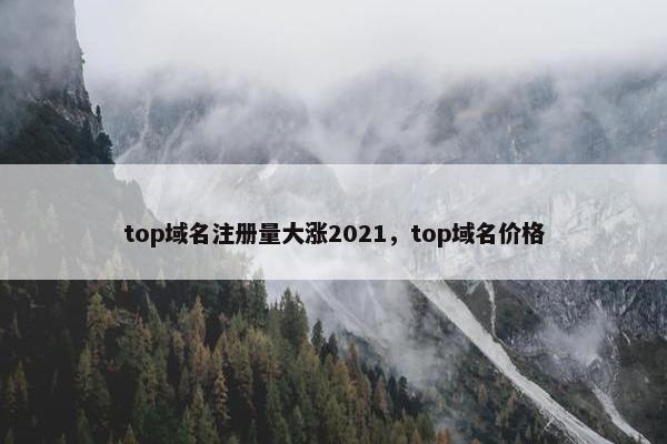 top域名注册量大涨2021，top域名价格