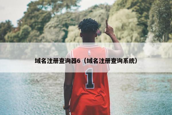 域名注册查询器6（域名注册查询系统）