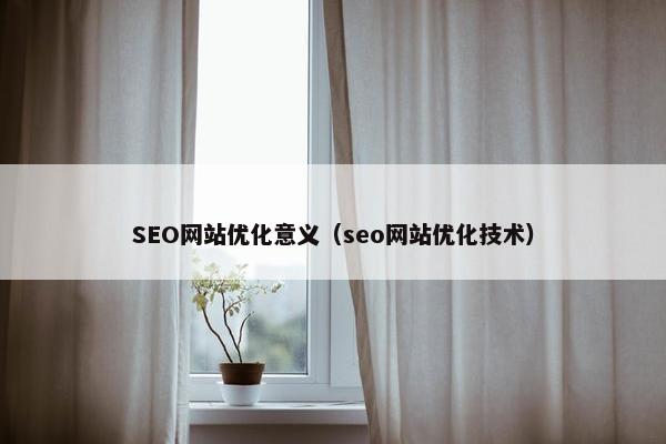 SEO网站优化意义（seo网站优化技术）