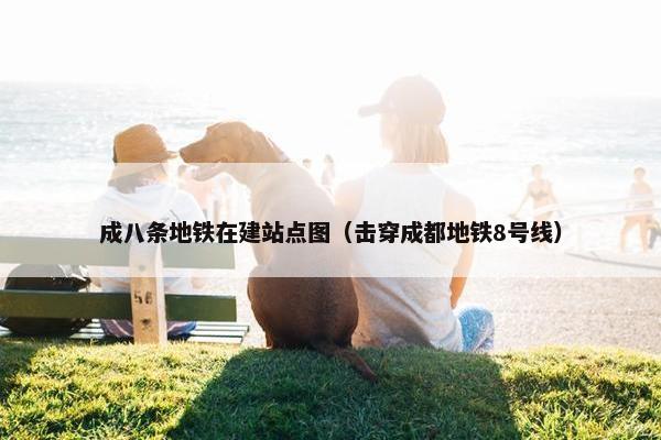 成八条地铁在建站点图（击穿成都地铁8号线）