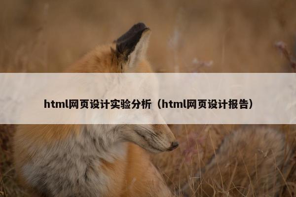 html网页设计实验分析（html网页设计报告）