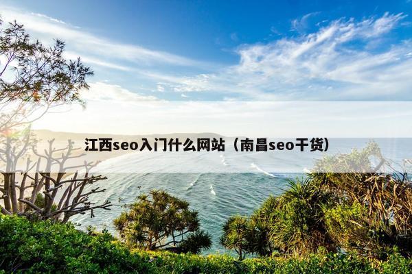 江西seo入门什么网站（南昌seo干货）