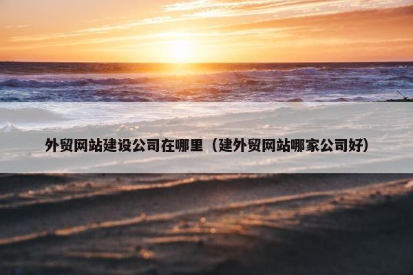 外贸网站建设公司在哪里（建外贸网站哪家公司好）